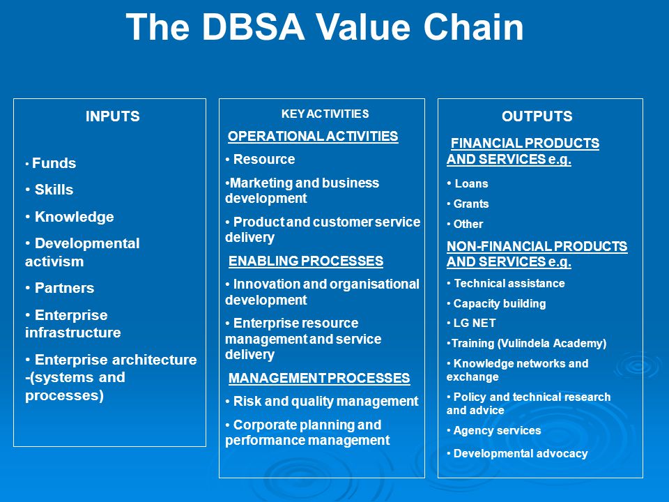 The DBSA Value Chain INPUTS Skills Knowledge Developmental activism