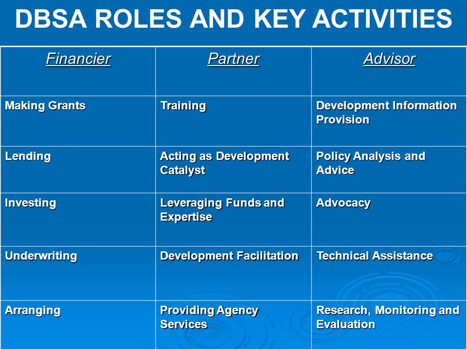 DBSA ROLES AND KEY ACTIVITIES