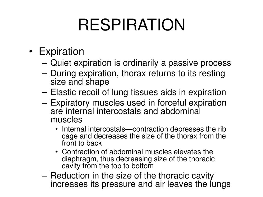 Slide of ppt download