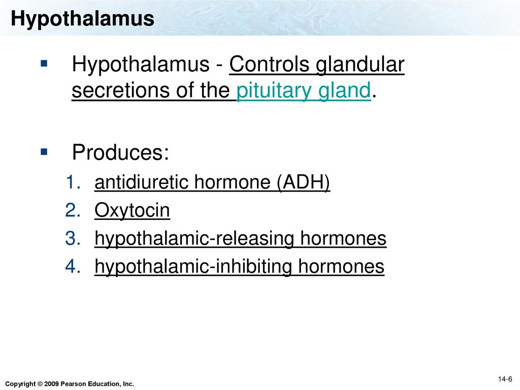 The Endocrine System Biol 105 Lecture 13 Chapter ppt download