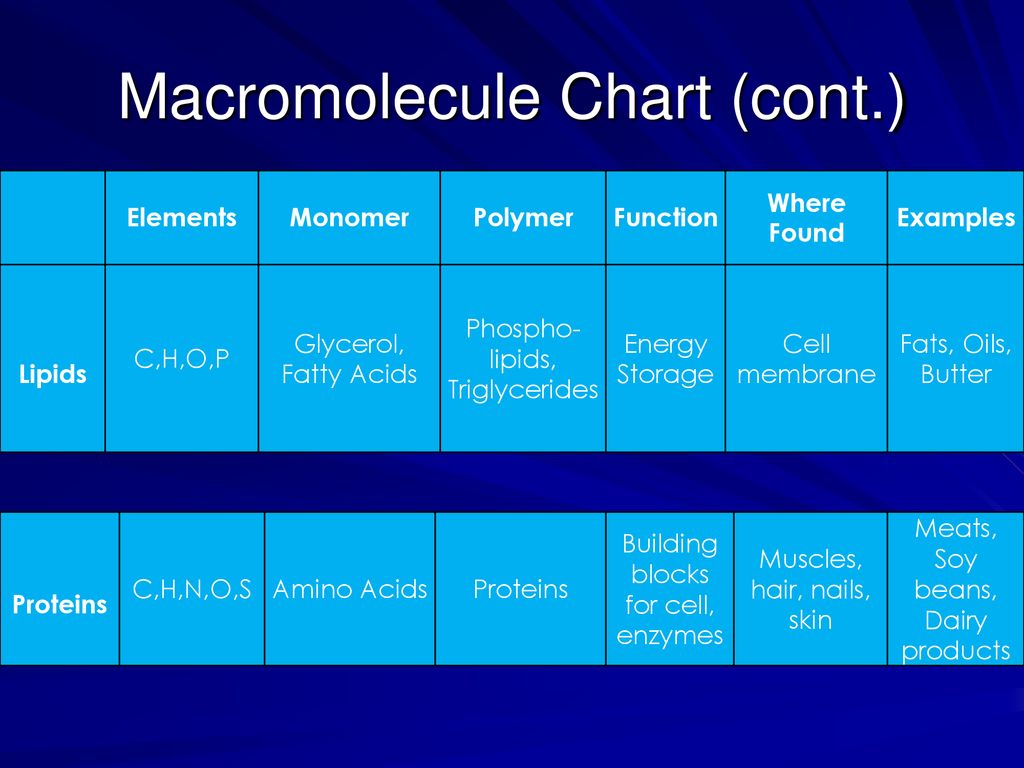 Macromolecules Chart Structures