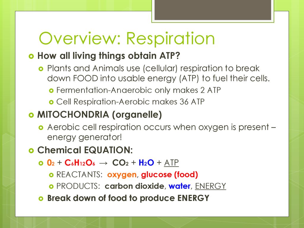 B_3 Energy B Standard: B-3 The student will demonstrate an ...