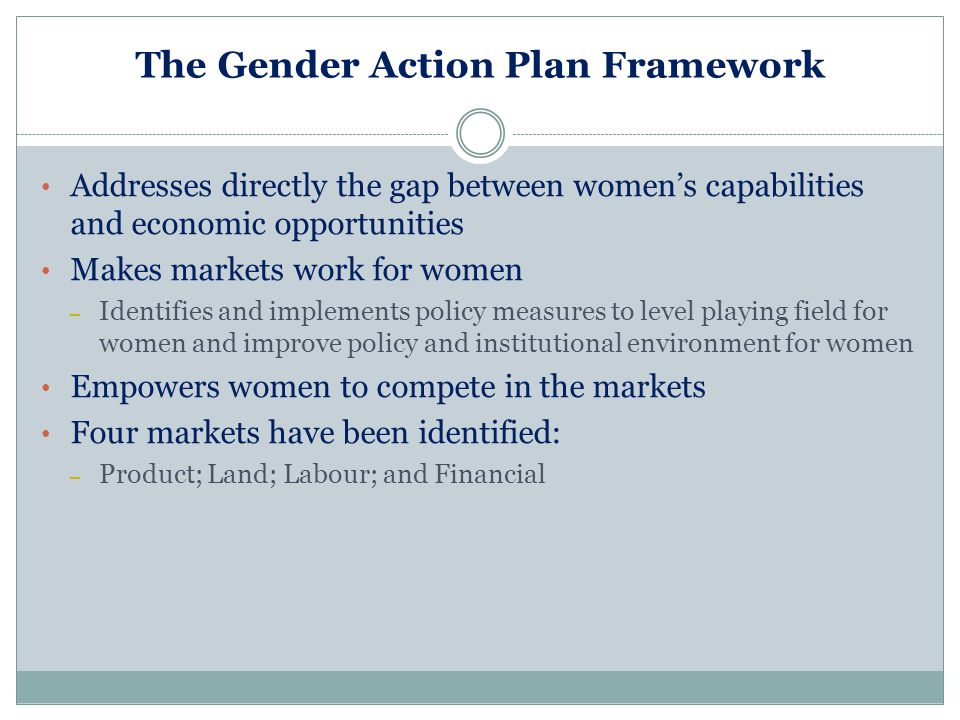 The Gender Action Plan Framework