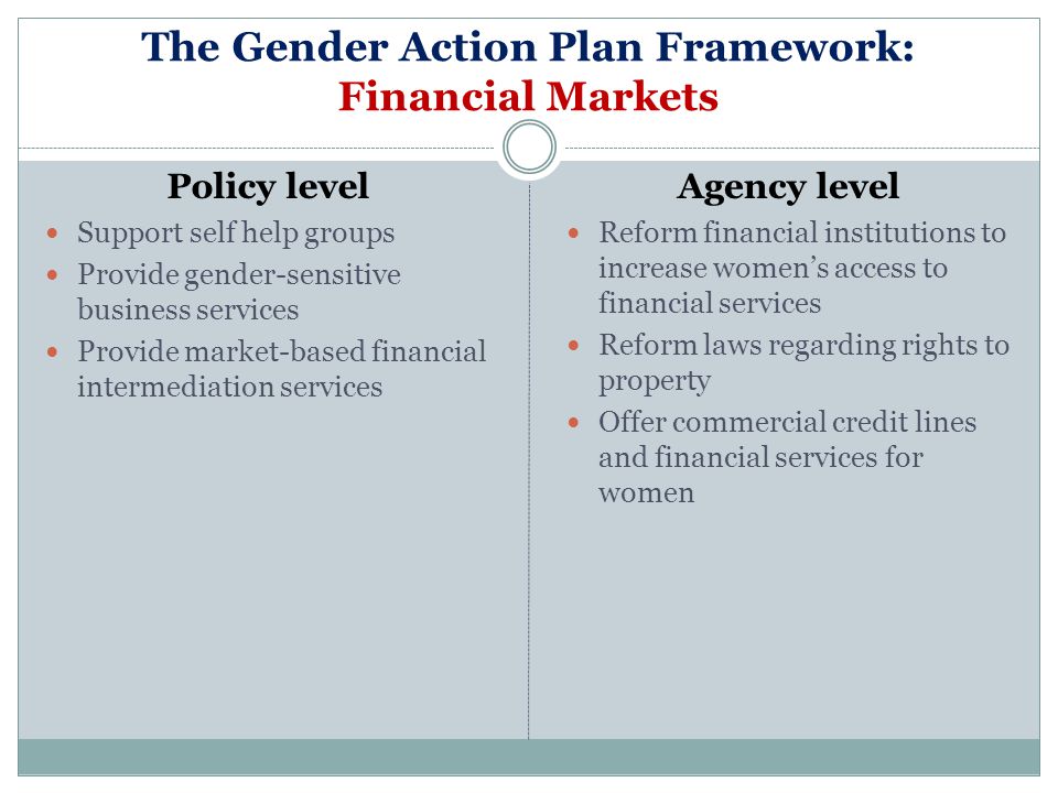 The Gender Action Plan Framework: Financial Markets