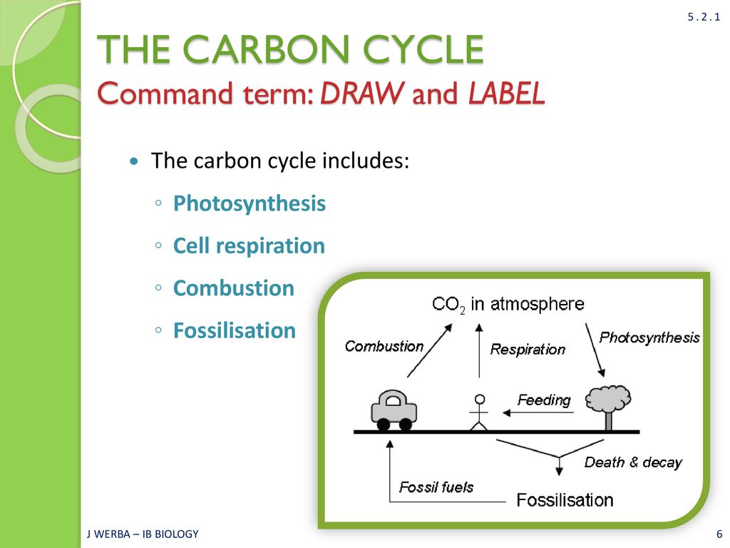 Carbon cycle to label