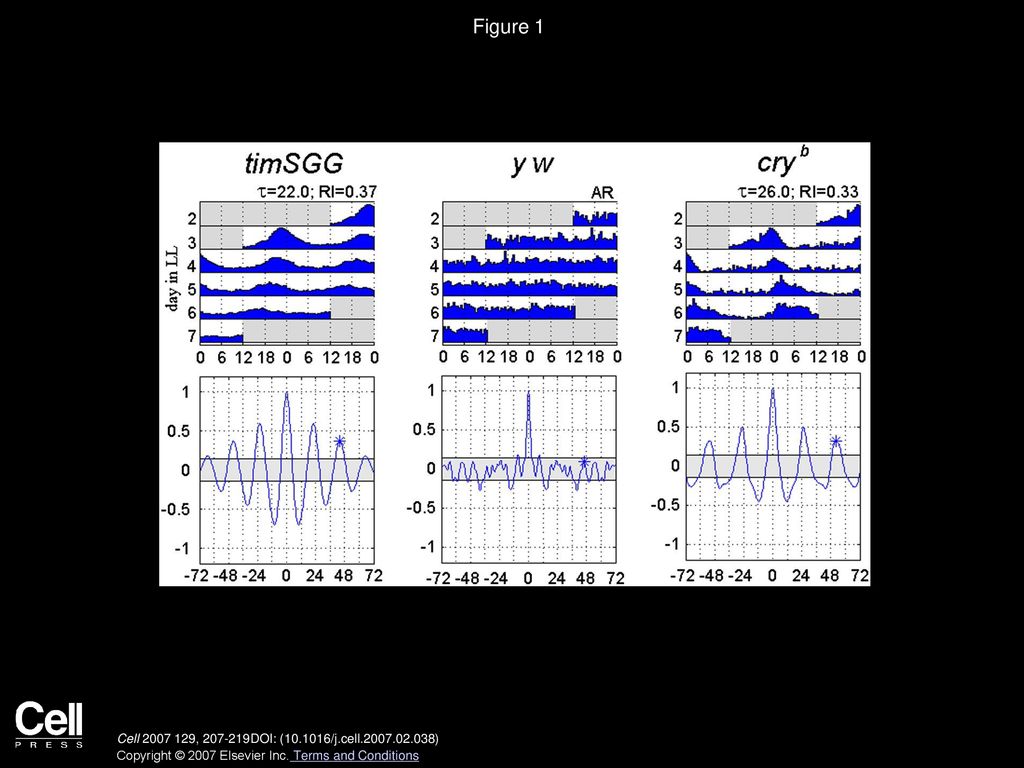 Figure 1 Overexpression of sgg in Clock Cells Inhibits LL Arrhythmicity.