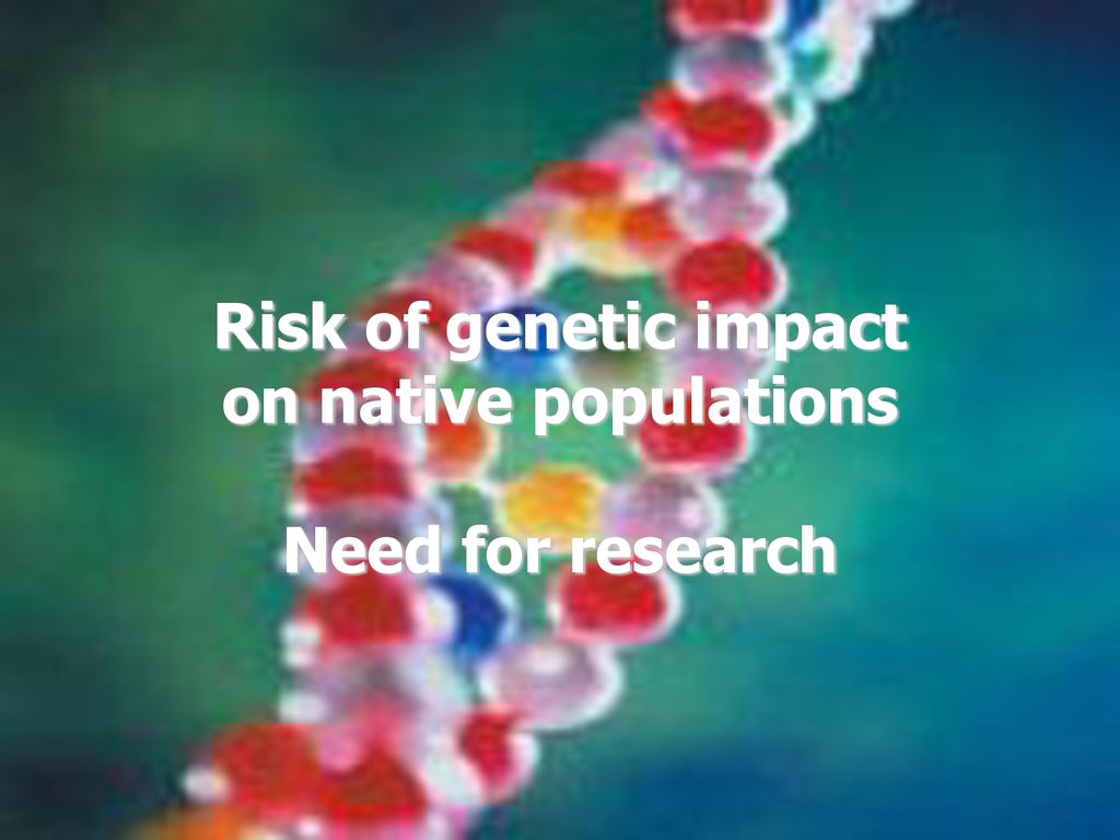 Risk of genetic impact on native populations Need for research