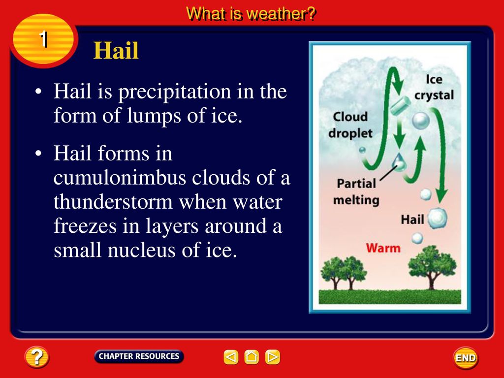 Chapter: Weather Section 1: What is weather? - ppt download