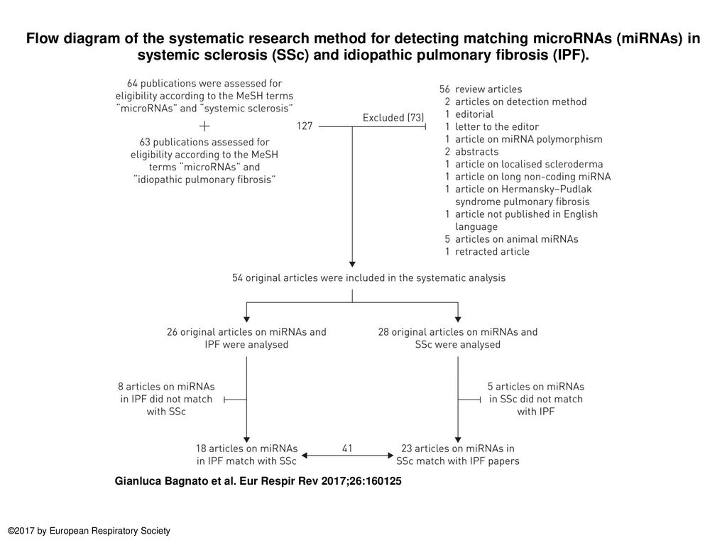 Flow diagram of the systematic research method for detecting matching microRNAs (miRNAs) in systemic sclerosis (SSc) and idiopathic pulmonary fibrosis (IPF).