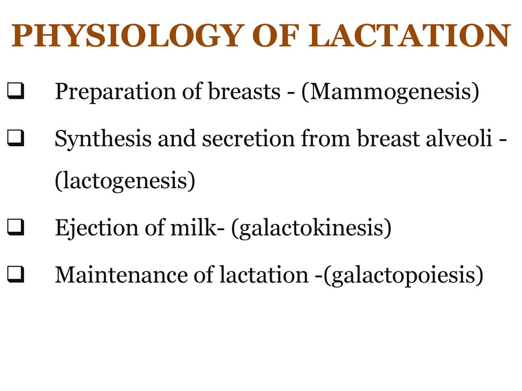 Physiology of Lactation - ScienceDirect