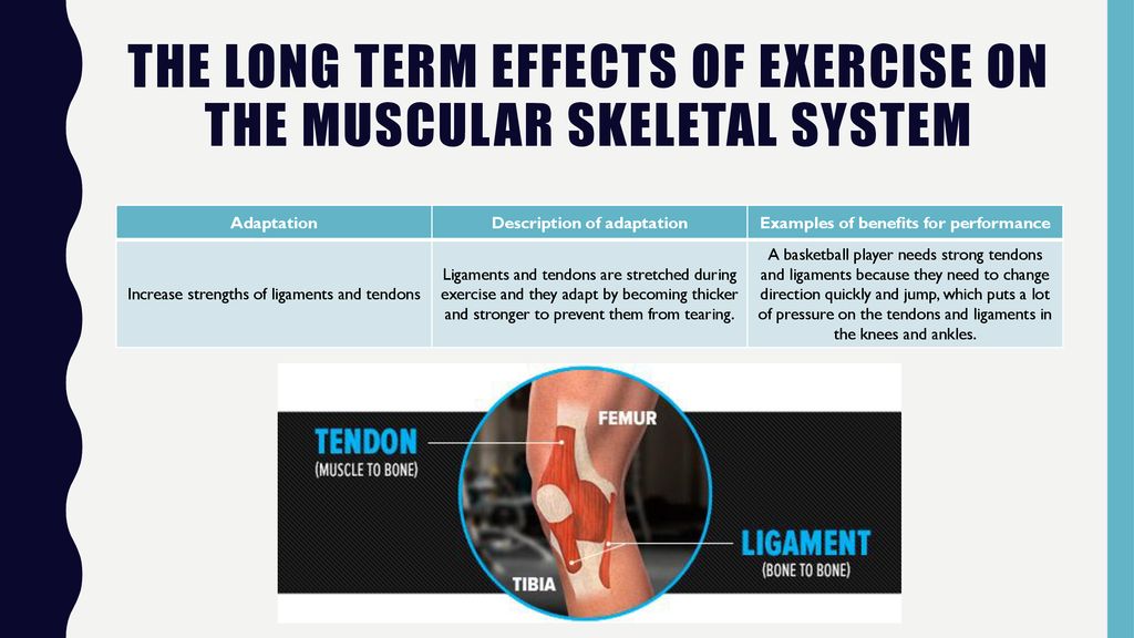 Long-term effects of exercise - ppt download