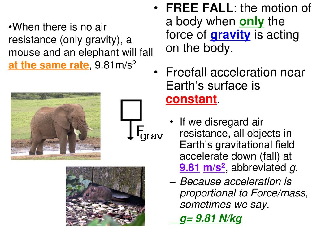 Gravity, Mass and Weight - ppt download