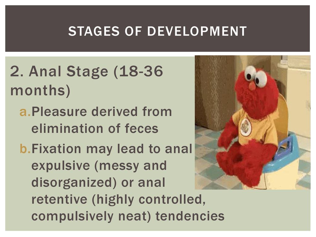 2. Anal Stage (18-36 months) Stages of development