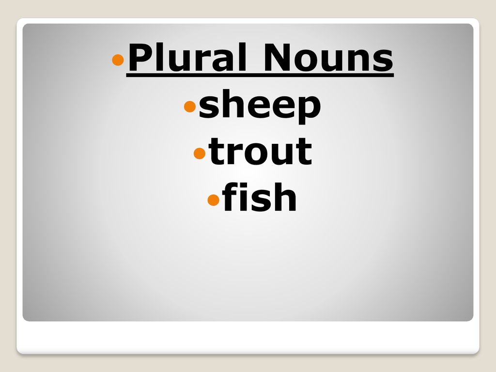 Singular And Plural Nouns Ppt Download