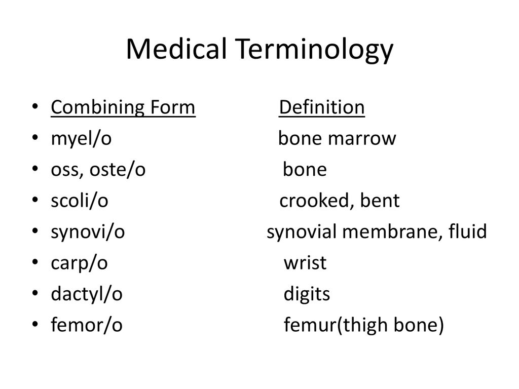 Medical Terminology Skeletal System. ppt download