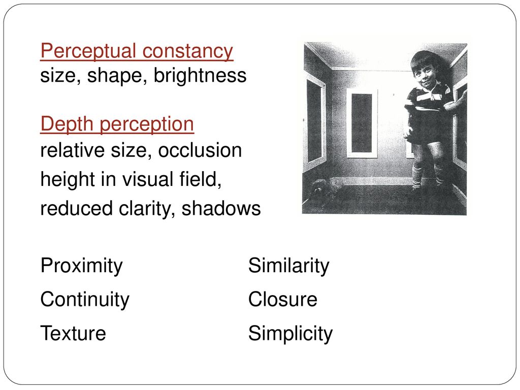 Perceptual constancy size, shape, brightness. Depth perception. relative size, occlusion. height in visual field,
