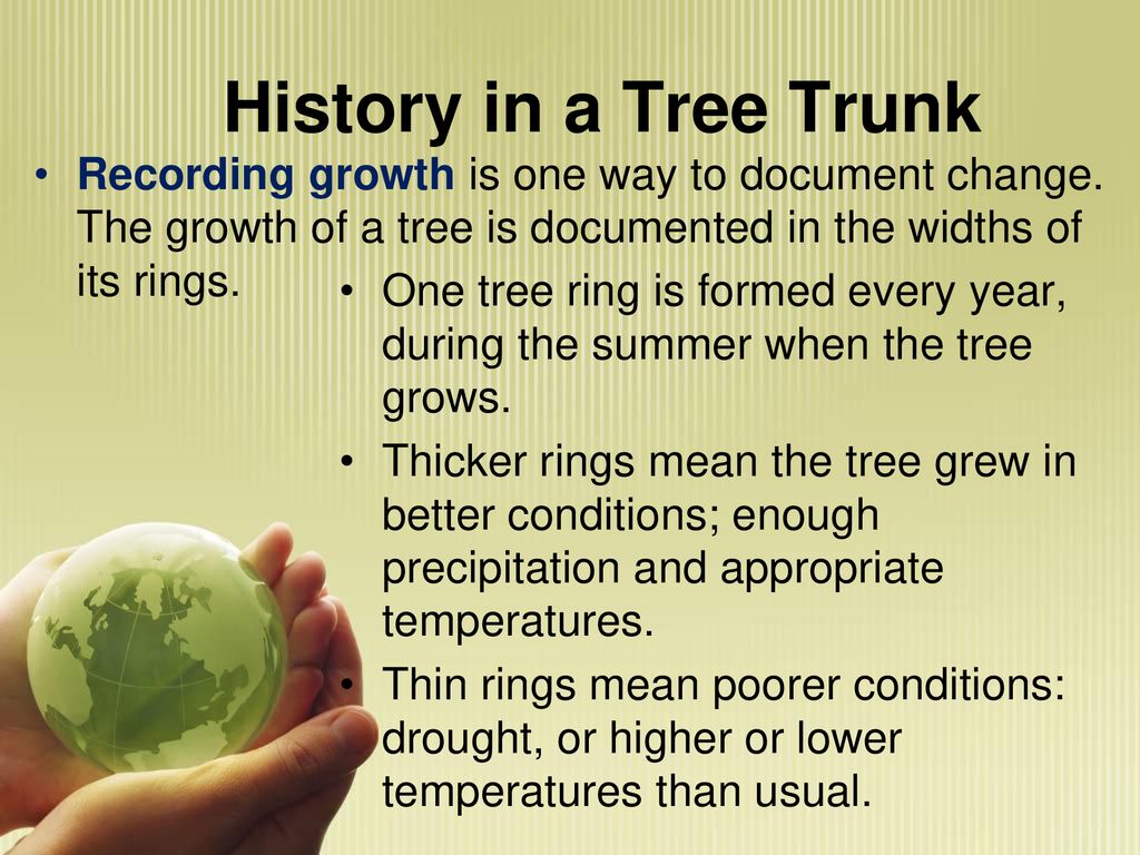 History in a Tree Trunk Recording growth is one way to document change. The growth of a tree is documented in the widths of its rings.