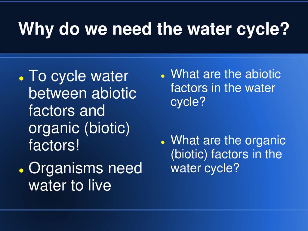 MT 1: Ecology Understand how water, carbon, and nitrogen are cycled