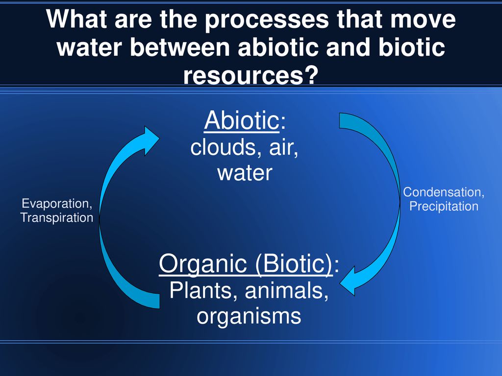 MT 1: Ecology Understand how water, carbon, and nitrogen are cycled