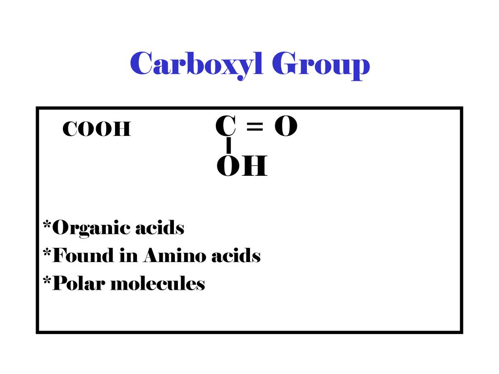 Carboxyl Group OH COOH C = O *Organic acids *Found in Amino acids