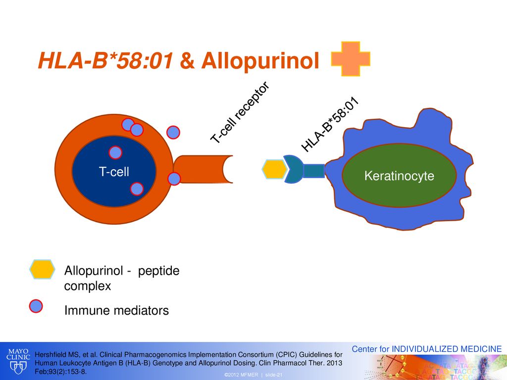 Pharmacogenomics In The Modern Healthcare Setting - Ppt Download