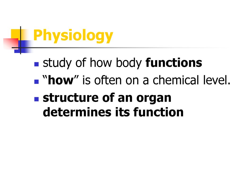 Anatomy Overview Notes Biology Diagrams