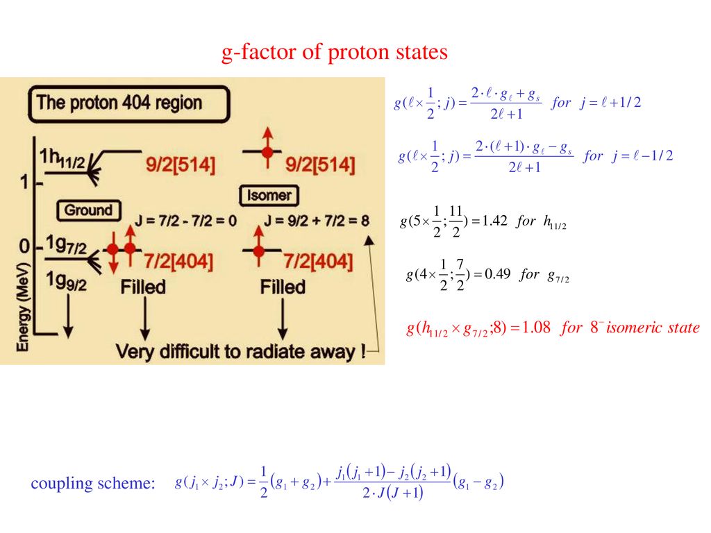 g-factor of proton states