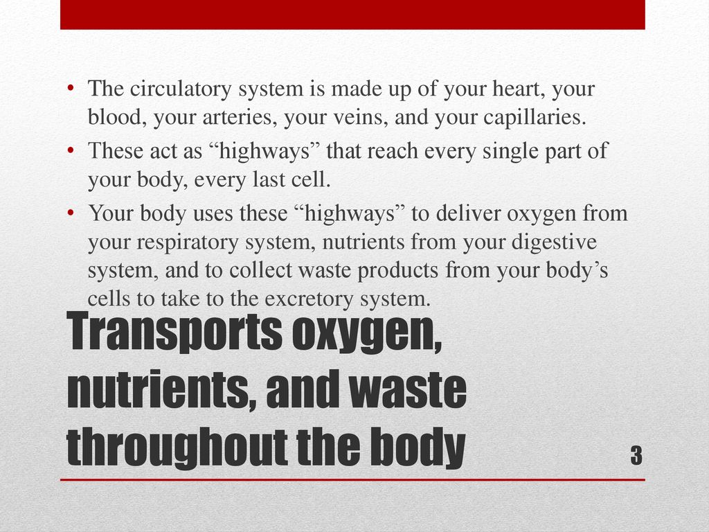 Circulation Mr. Lockhart. Biology Diagrams