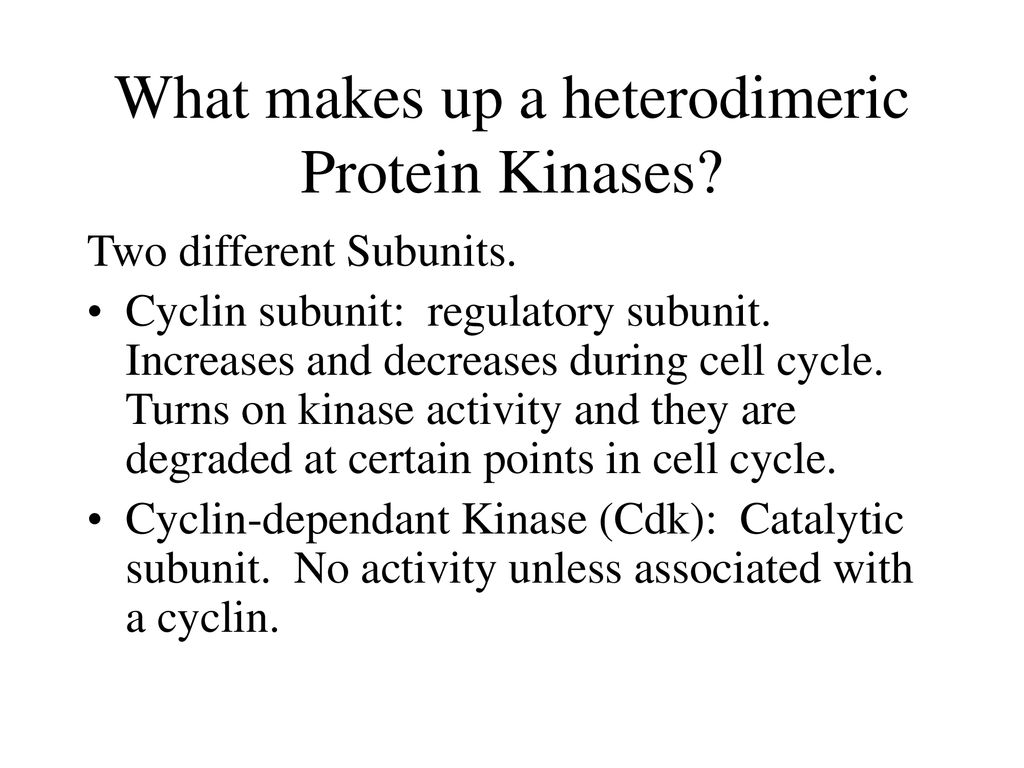 Heterodimeric Protein Kinases ppt download