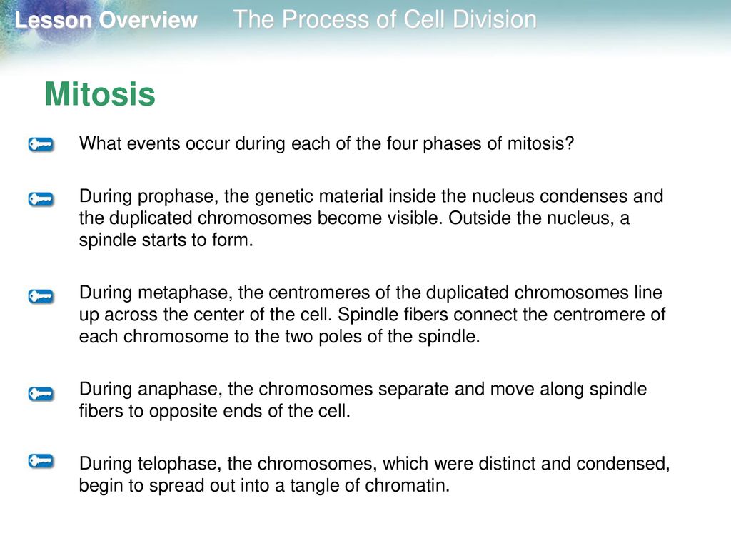 10.2 The Process of Cell Division - ppt download