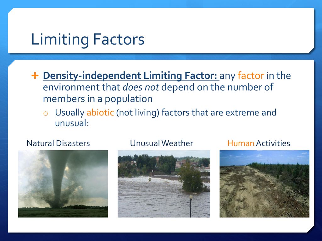 Populations Limiting Factors Ppt Download populations-limiting-factors-ppt-download