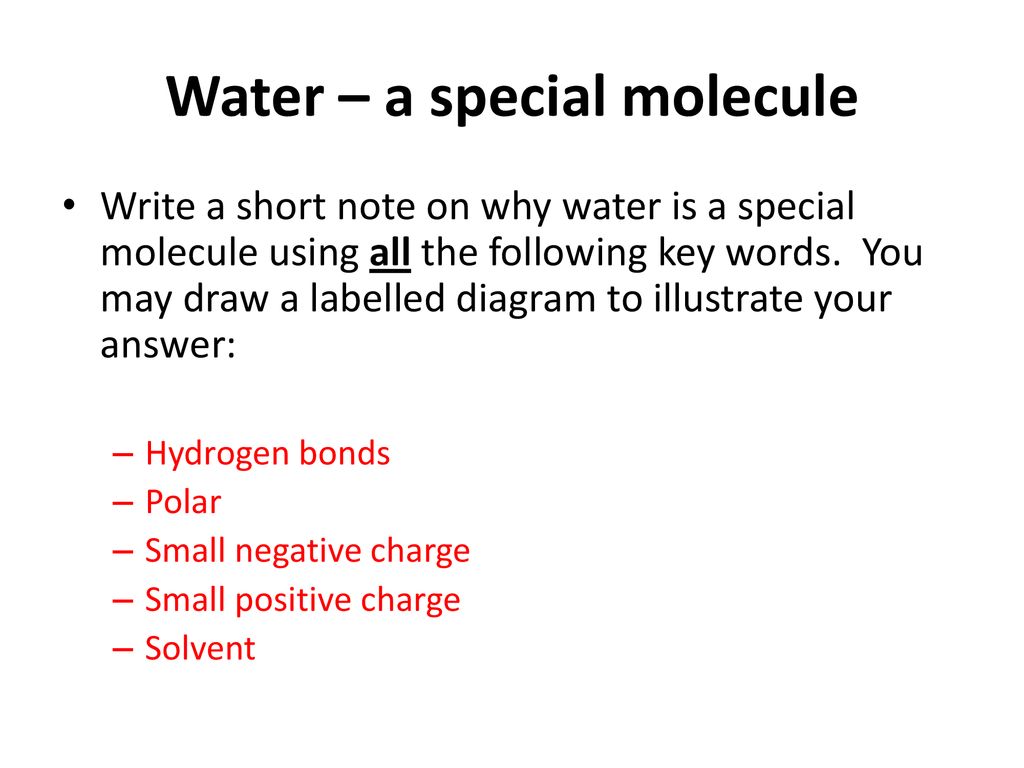 Water – a special molecule
