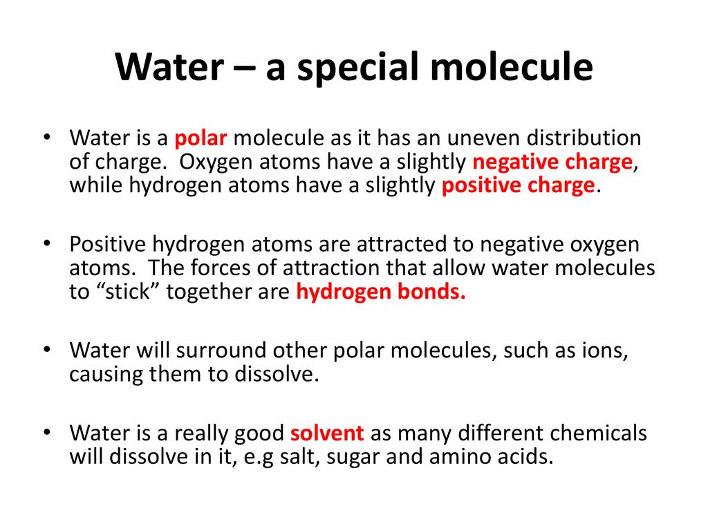 Water – a special molecule