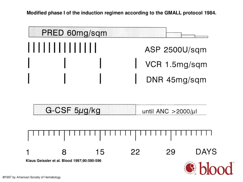 Modified phase I of the induction regimen according to the GMALL protocol 1984.