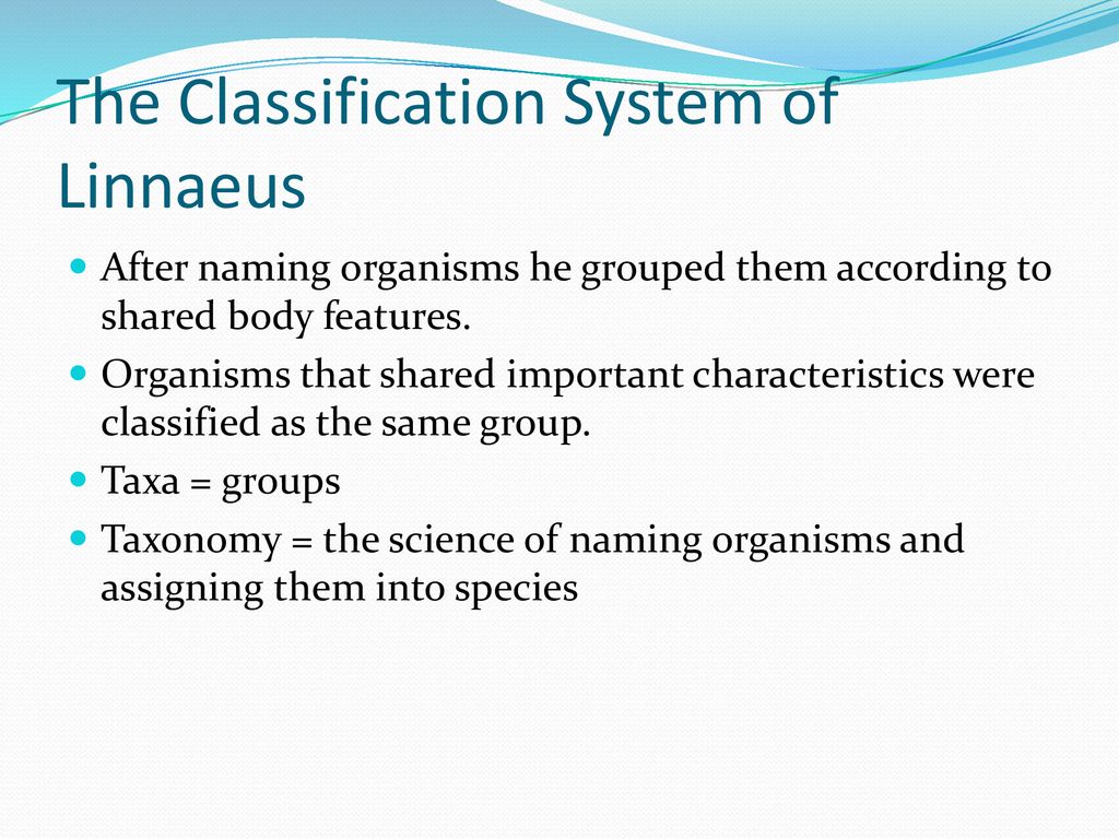 Classification and Taxonomy - ppt download