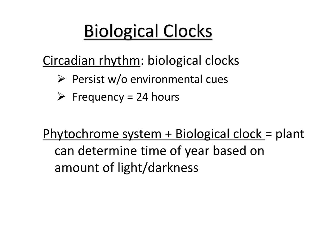 Plant Responses to Internal and External Signals ppt download