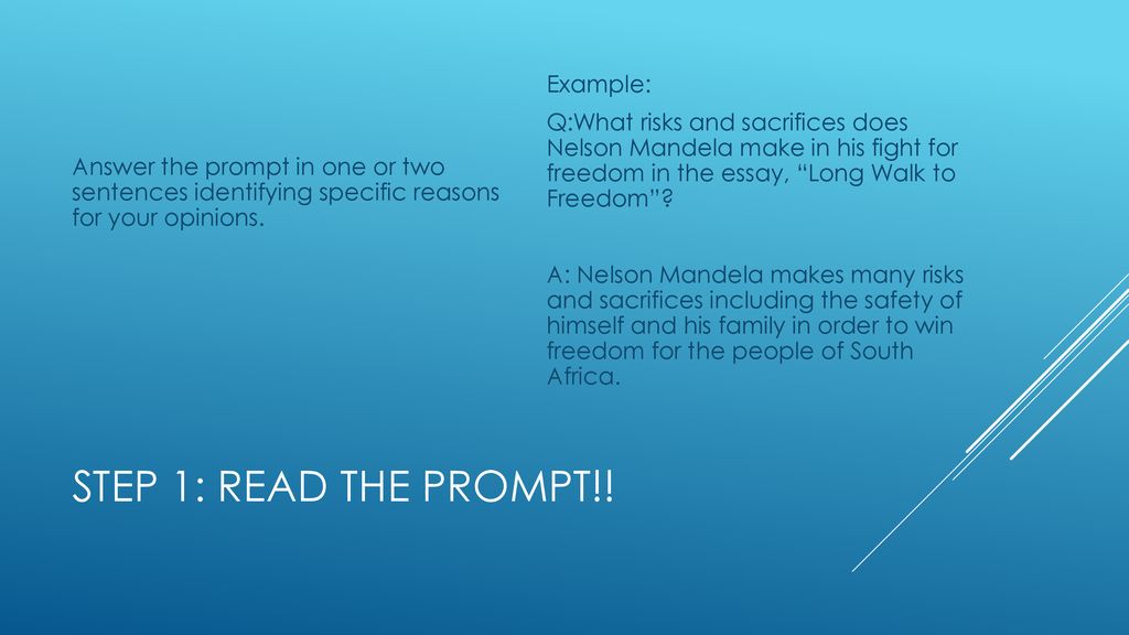 Answer the prompt in one or two sentences identifying specific reasons for your opinions.