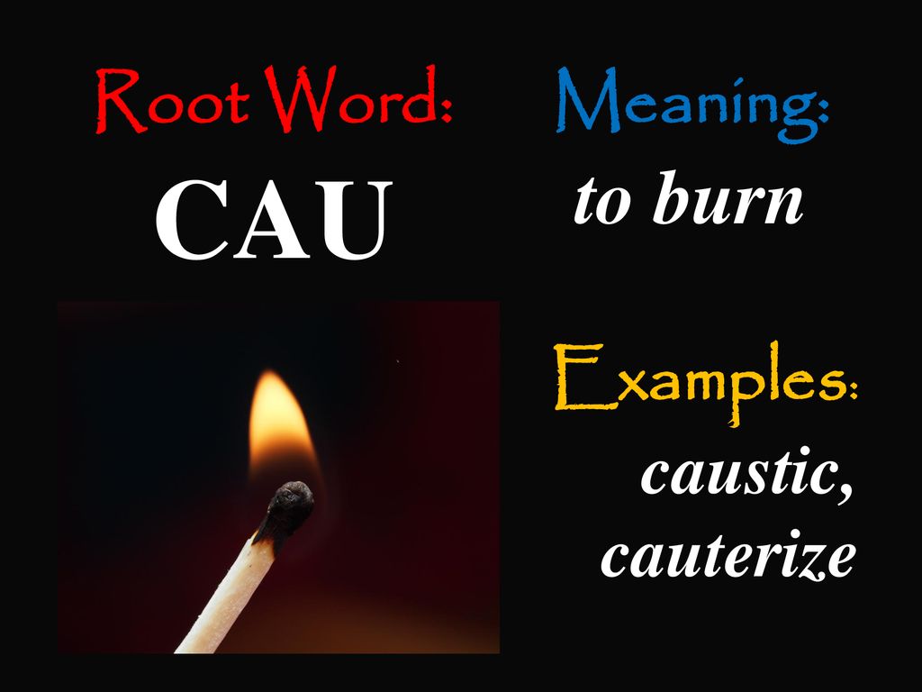 Cauterize meaning