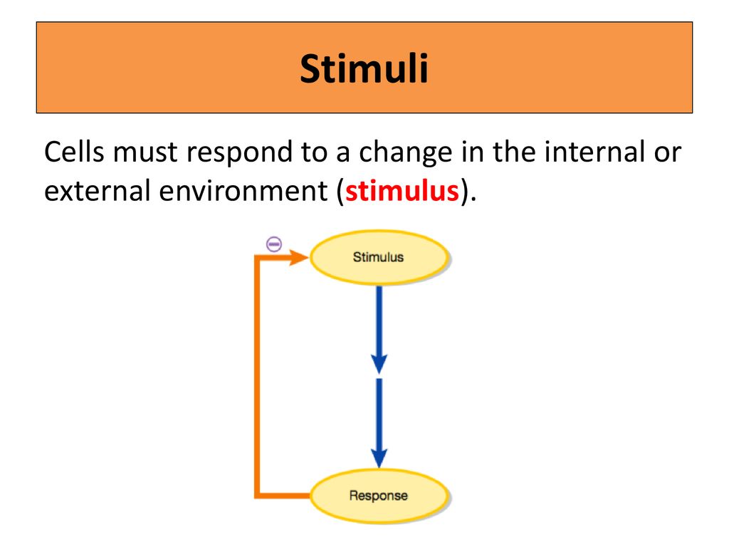 Coordination regulation ppt download