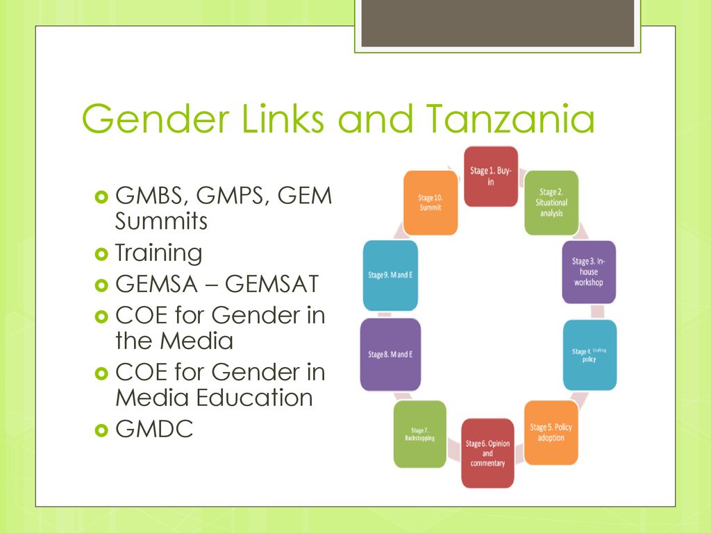 Gender Links and Tanzania