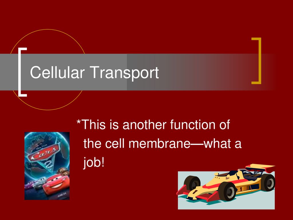 *This is another function of the cell membrane—what a job!