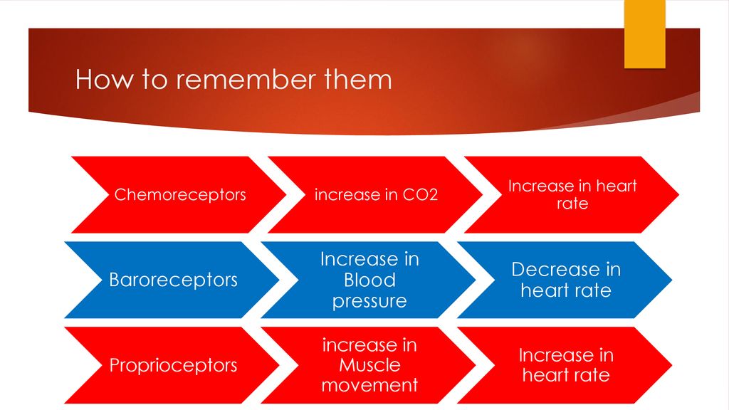 Cardiac Conduction System Ppt Download cardiac-conduction-system-ppt-download