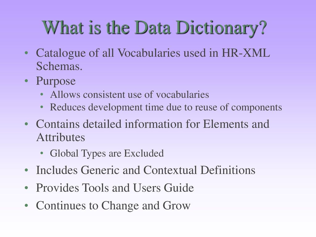What is the Data Dictionary