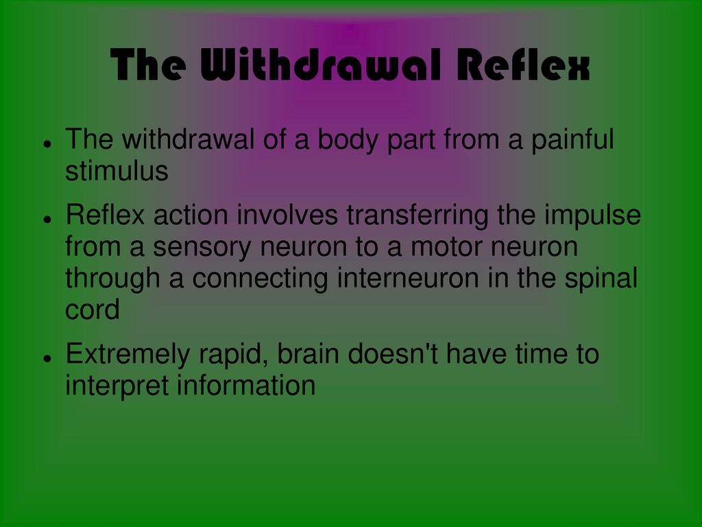 The Withdrawal Reflex The withdrawal of a body part from a painful stimulus.