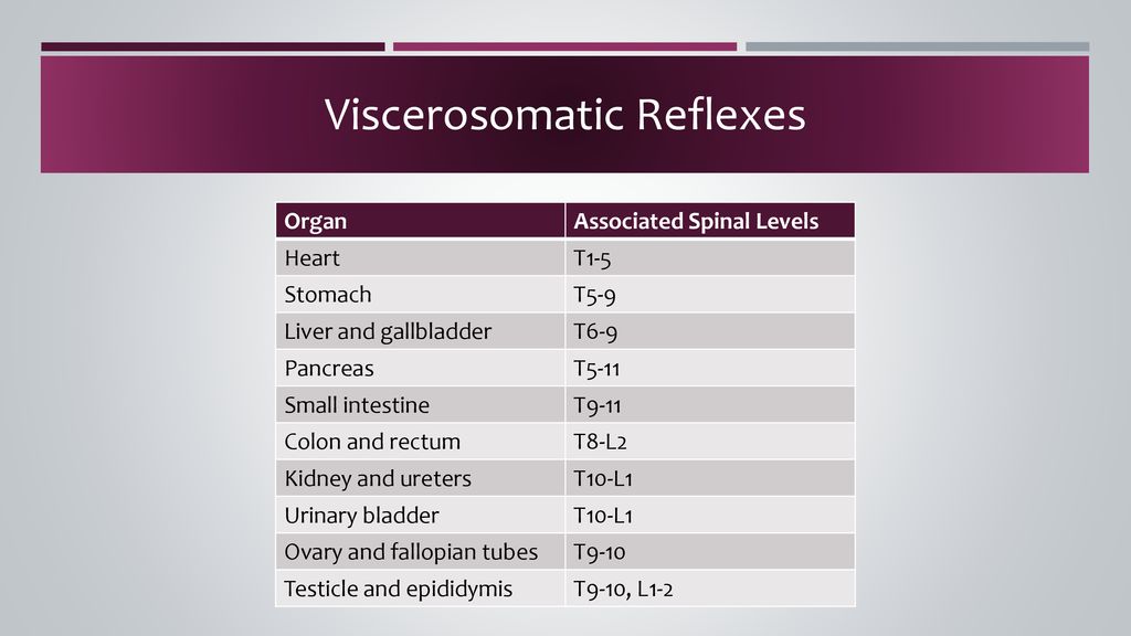 Viscerosomatic Chart