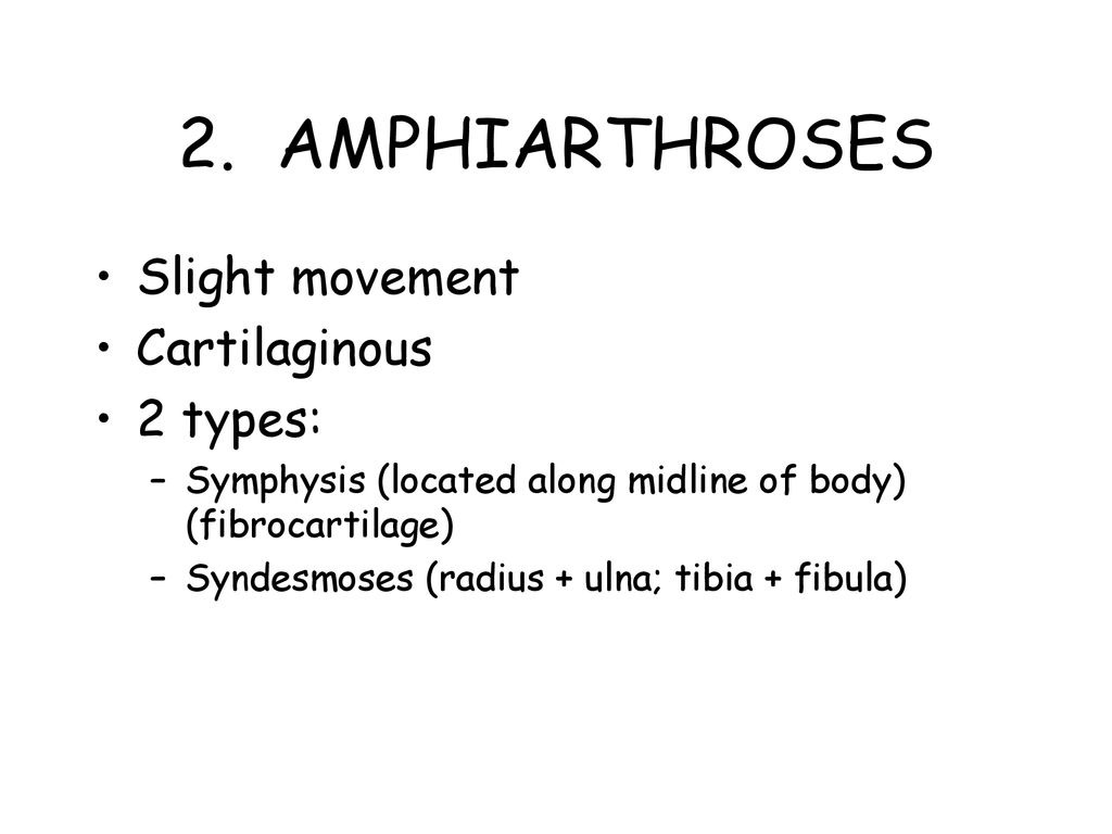 2. AMPHIARTHROSES Slight movement Cartilaginous 2 types: