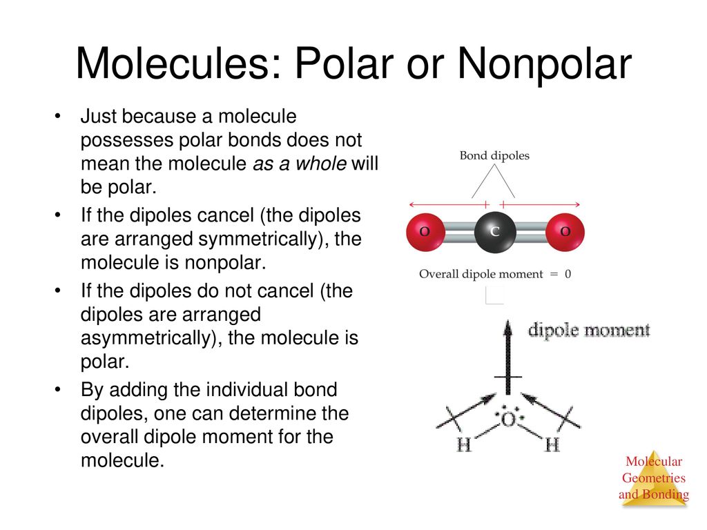 Types Of Covalent Bonds - Ppt Download