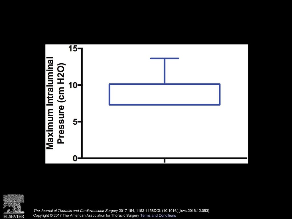 Endoscopy after esophagectomy: Safety demonstrated in a porcine model ...