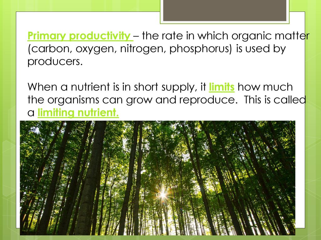 Nutrient Limitations. Biology Diagrams