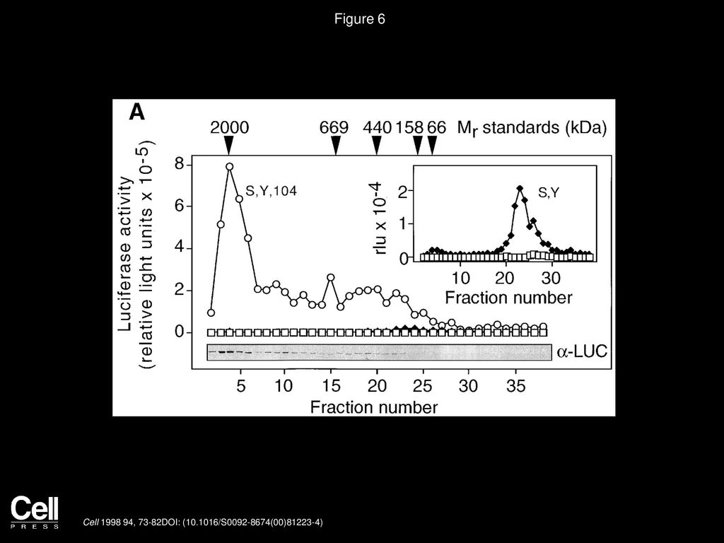 Figure 6 Refolding of Preformed Aggregates of Denatured Luciferase